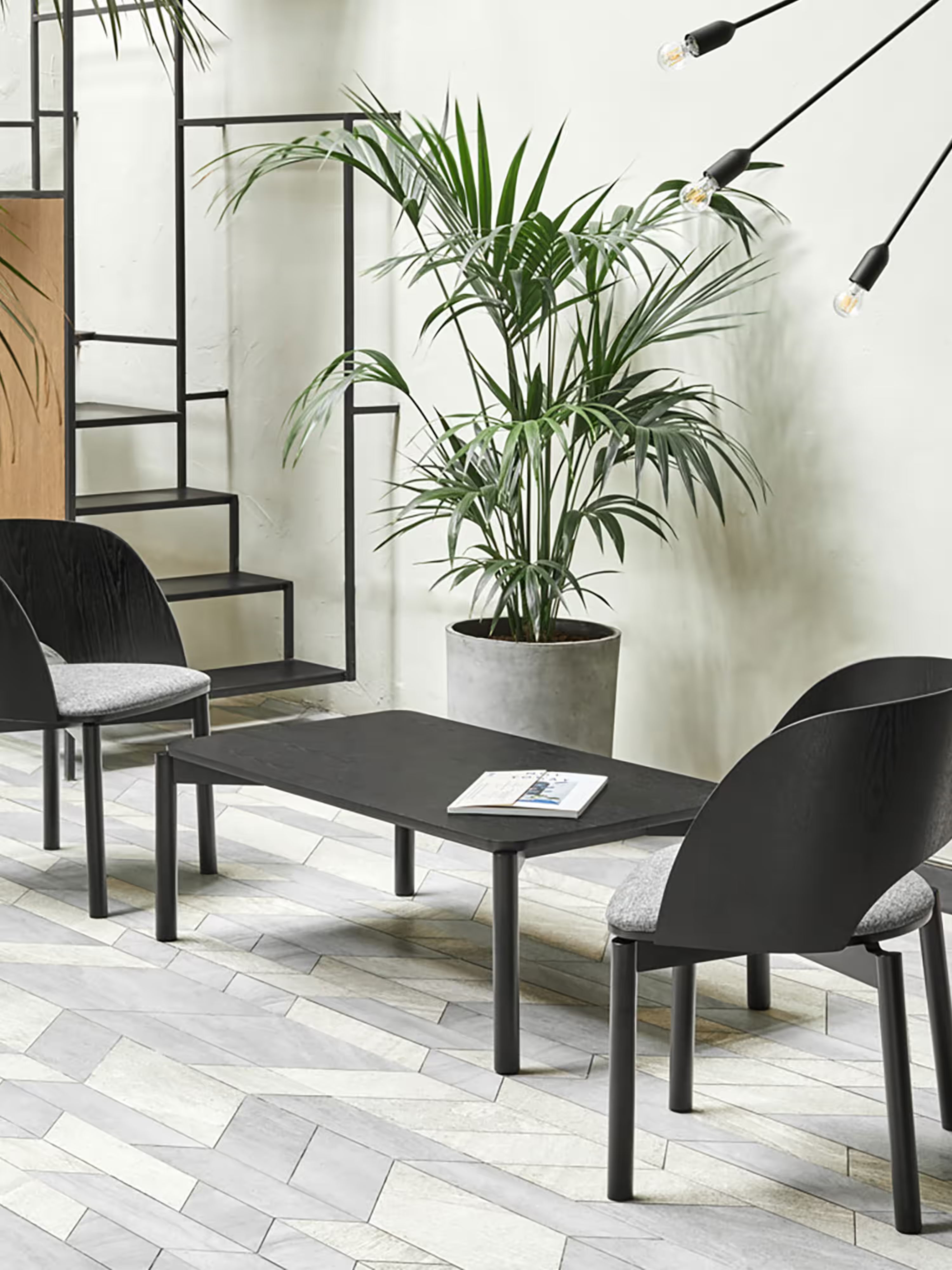Atlas niedriger Couchtisch aus schwarzem Eschenholz - modernes Design 110 x 40 cm