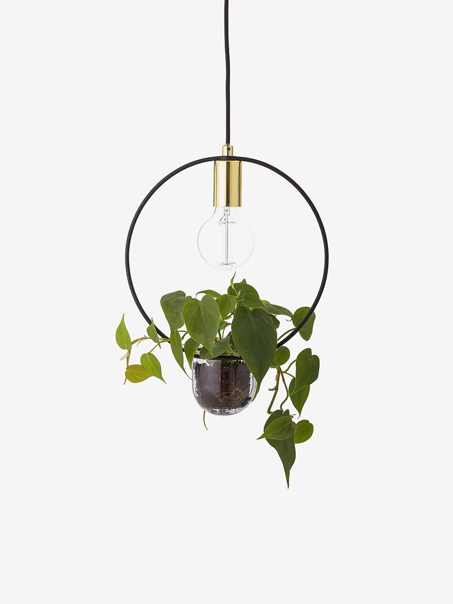 Caralina Suspension en métal doré avec vase décoratif