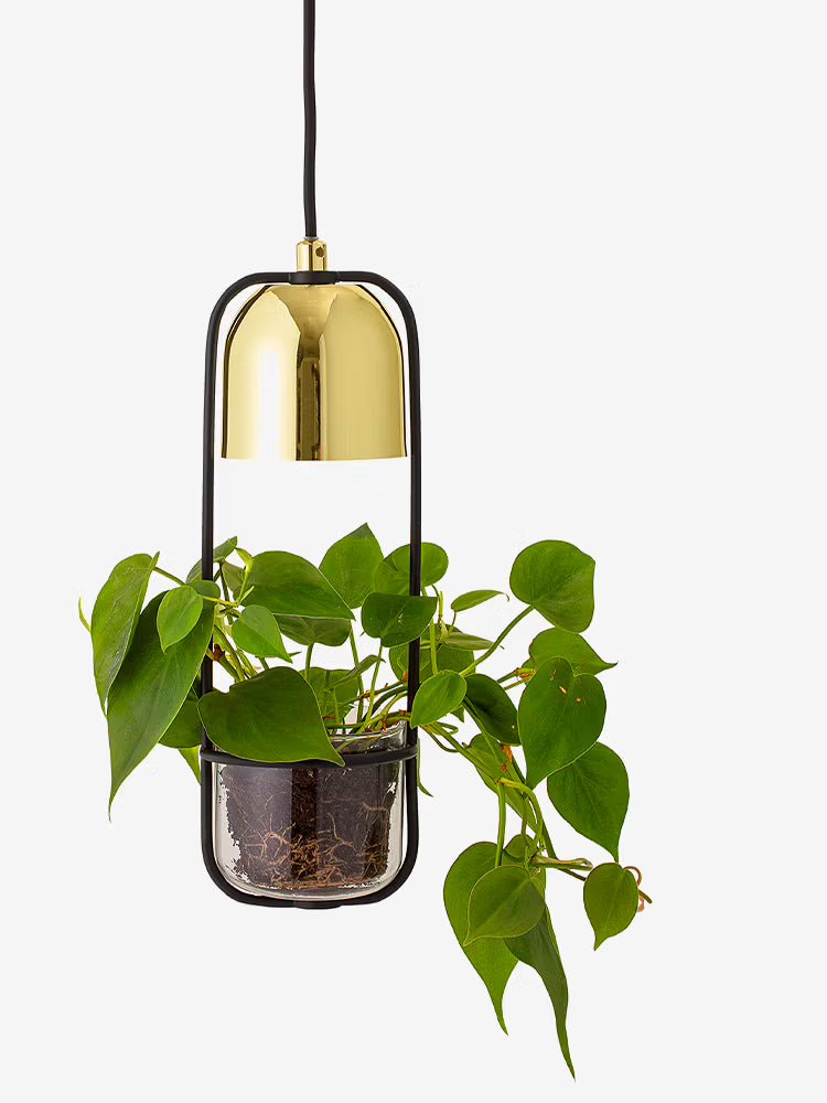 Gullak Lámpara colgante de metal dorado con jarrón decorativo